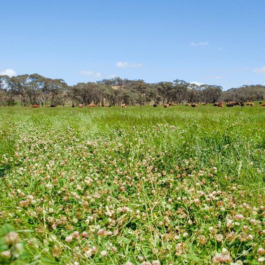 Farm Business Management